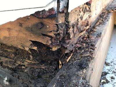 Professional water damage restoration services in Lindon, UT - Prime Water Restoration